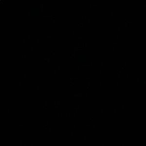 Meet your Posher, Cassie